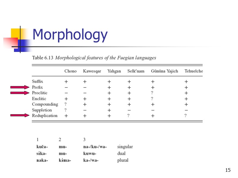 15 Morphology